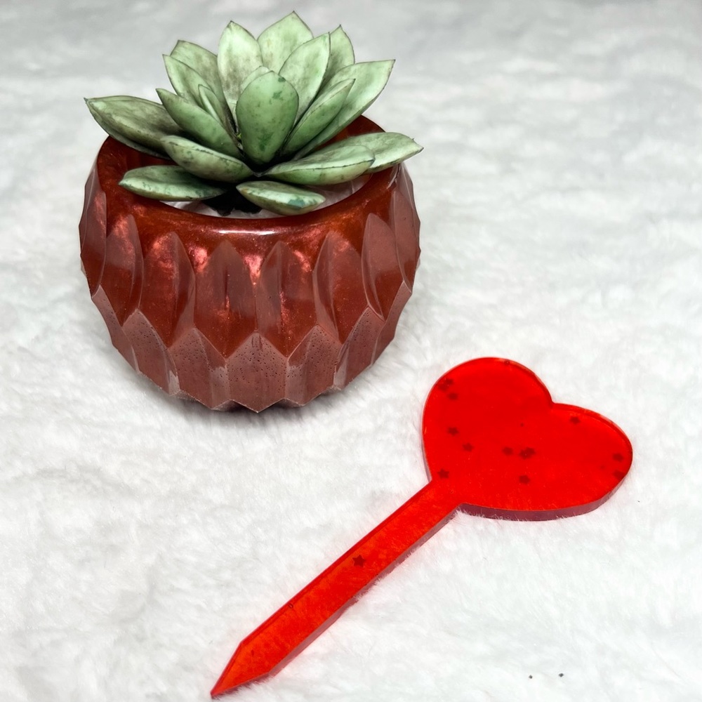 Burnt Orange Bronze Succulent Textured Plant Holder & Red Heart Message Marker